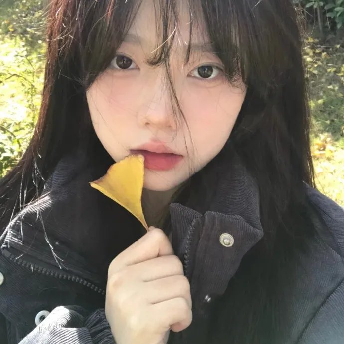 我的天才女友第一季
